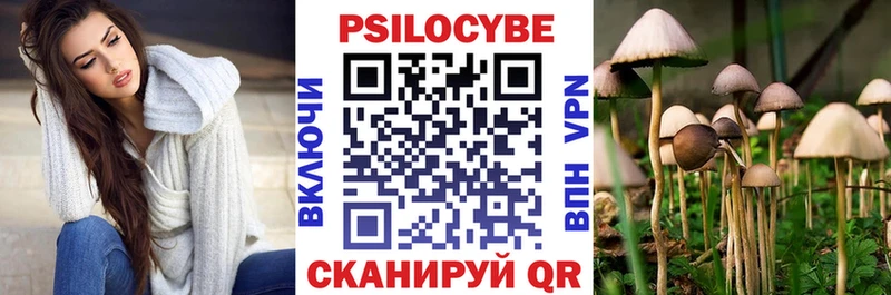 закладки  Анапа  Галлюциногенные грибы Cubensis 